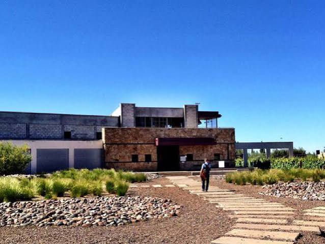 Bodegueando Maipú