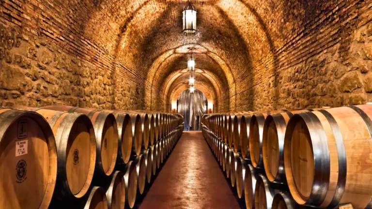 Bodegas y aceiteras